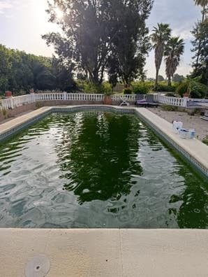 servicio de jardinería