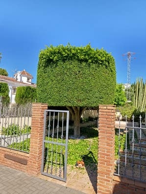 servicio de jardinería