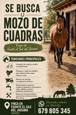 Se busca mozo