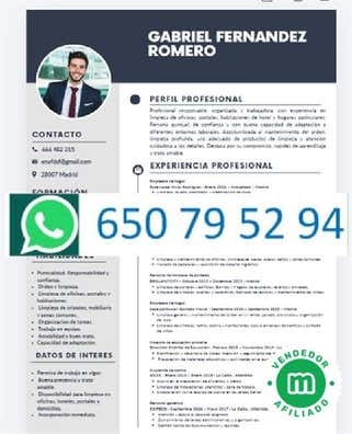 CREAMOS CURRICULUM OBRA ALBAÑIL
