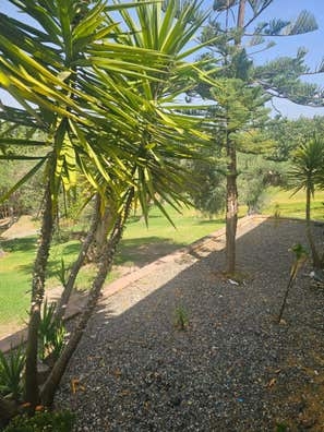 Interno en finca