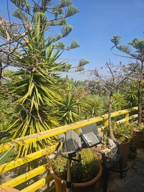Interno en finca