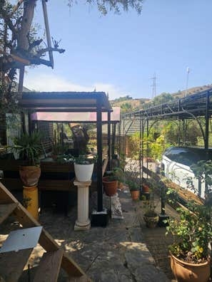 Interno en finca