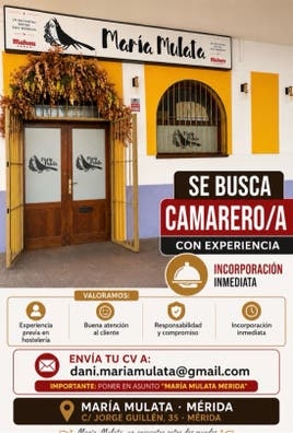 SE BUSCA CAMARERO/A CON EXPERIENCIA