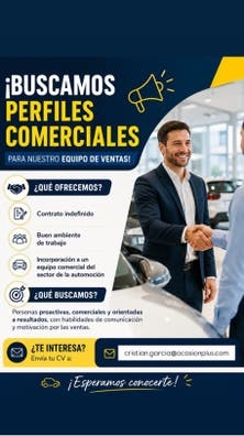 Comercial/Venta de Coches Bilbao
