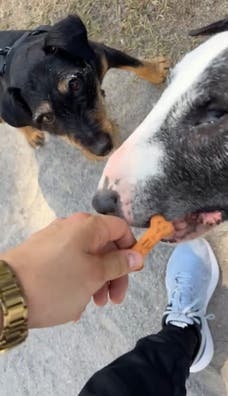 Busco clientes para trabajar.