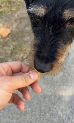Busco clientes para trabajar.