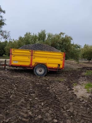 Arriendo olivos