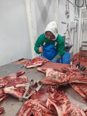 carnicero deshuesadores y peones