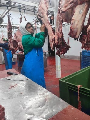 carnicero deshuesadores y peones