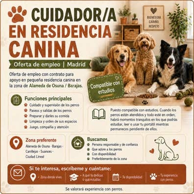 CUIDADOR/A EN RESIDENCIA CANINA – MADRID