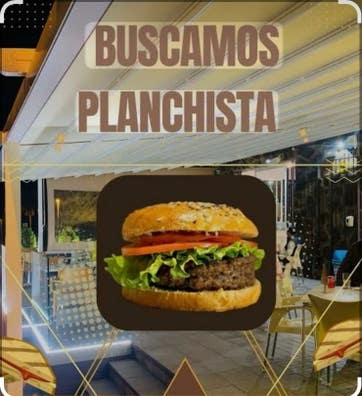 se busca planchista profesional