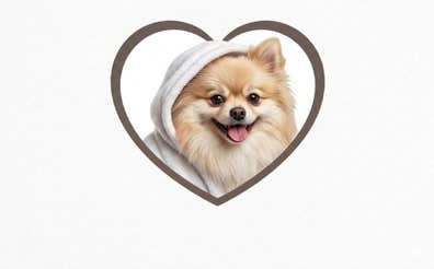 PELUQUERO CANINO CON EXPERENCIA