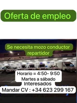 MOZO CONDUCTOR