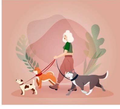 CUIDADOR DE PERROS LOS FINES DE SEMANA