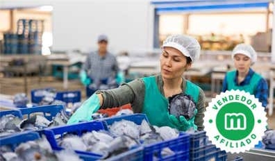 Operario de producción (H/M) Irún