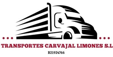 Chofer C+E para regional