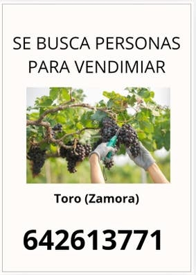 agricultura