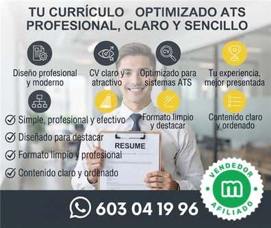cv profesional
