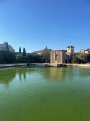 Guardés ( Amo ) para finca Mallorca
