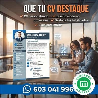 curriculum profesional