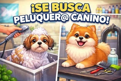 PELUQUER@ CANIN@ AUTONOMO