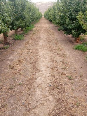 Realizamos todo tipo de trabajos agricol