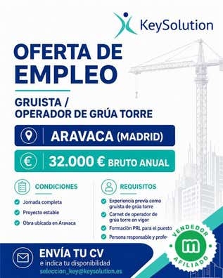 GRUISTA / OPERADOR DE GRÚA TORRE ARAVACA
