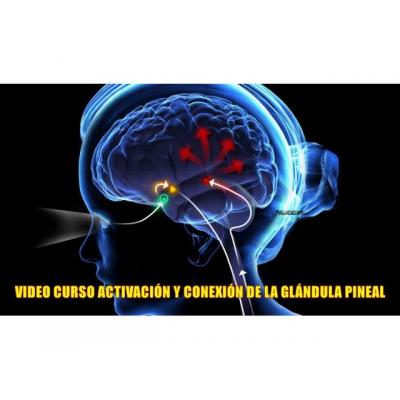 ACTIVACIÓN/CONEXIÓN DE GLÁNDULA PINEAL