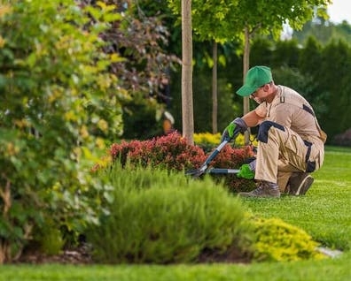 Buscamos jardinero 2 días a la semana