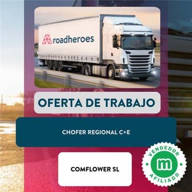 CHOFER REGIONAL C+E