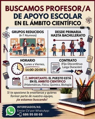 Profesor/a academia