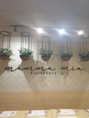 se busca ayudante de pizzero / cocinero