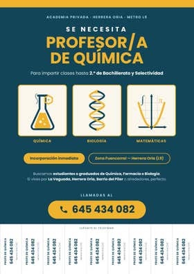 Profesor de Química, Matemáticas y Bio