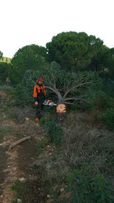 Operario forestal  en VALENCIA