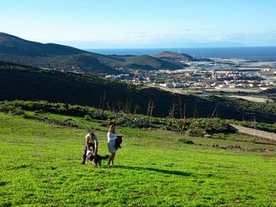 Buscamos cuidador@ de perros y limpieza