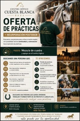OFERTA DE PRÁCTICAS MAS INCORPORACION