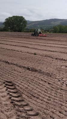 Trabajos agrarios
