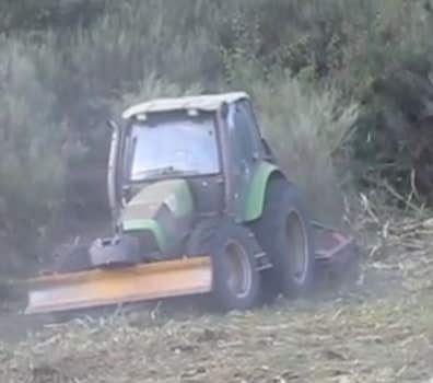 Trabajos agrarios