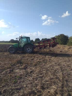 Trabajos agrarios