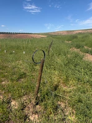 Trabajo en el campo