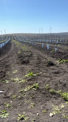 Trabajo en el campo