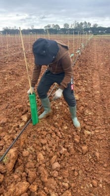 Trabajo en el campo