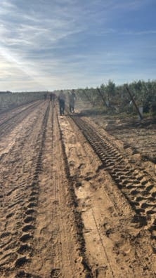 Trabajo en el campo