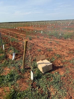 Trabajo en el campo