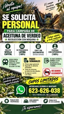 Personal pra aceituna Verdeo pgo semanal
