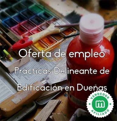 DELINEANTE EN DUEÑAS (PRÁCTICAS)