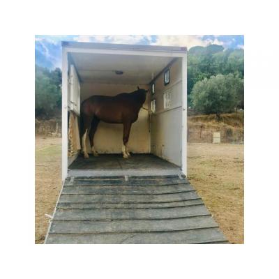 Ofrecemos transportes para caballos económicos