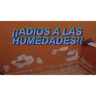PINTORES, HUMEDADES EN TOLEDO - 643757336