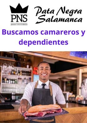 Busco camarero para evento
